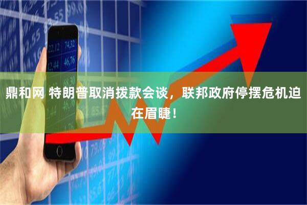 鼎和网 特朗普取消拨款会谈，联邦政府停摆危机迫在眉睫！