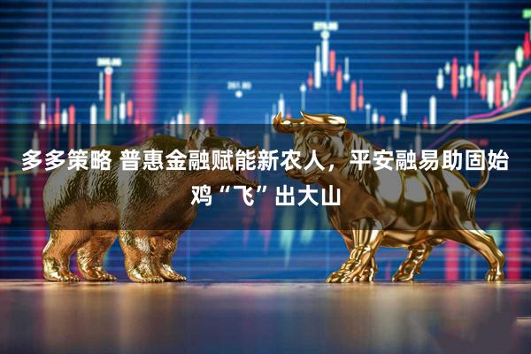 多多策略 普惠金融赋能新农人，平安融易助固始鸡“飞”出大山