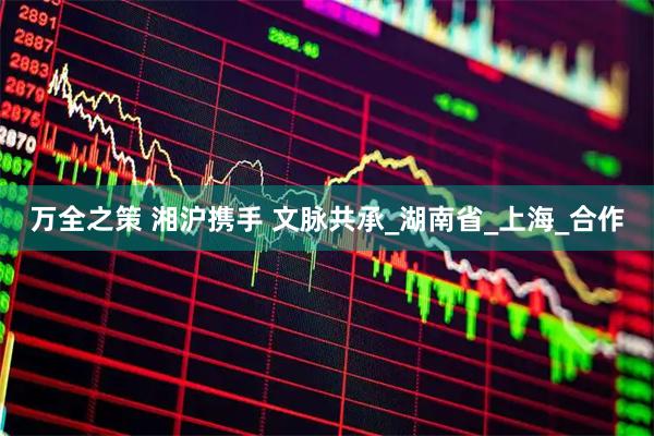 万全之策 湘沪携手 文脉共承_湖南省_上海_合作